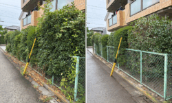 マンション植栽管理　長尾アートガーデン　埼玉県川越市