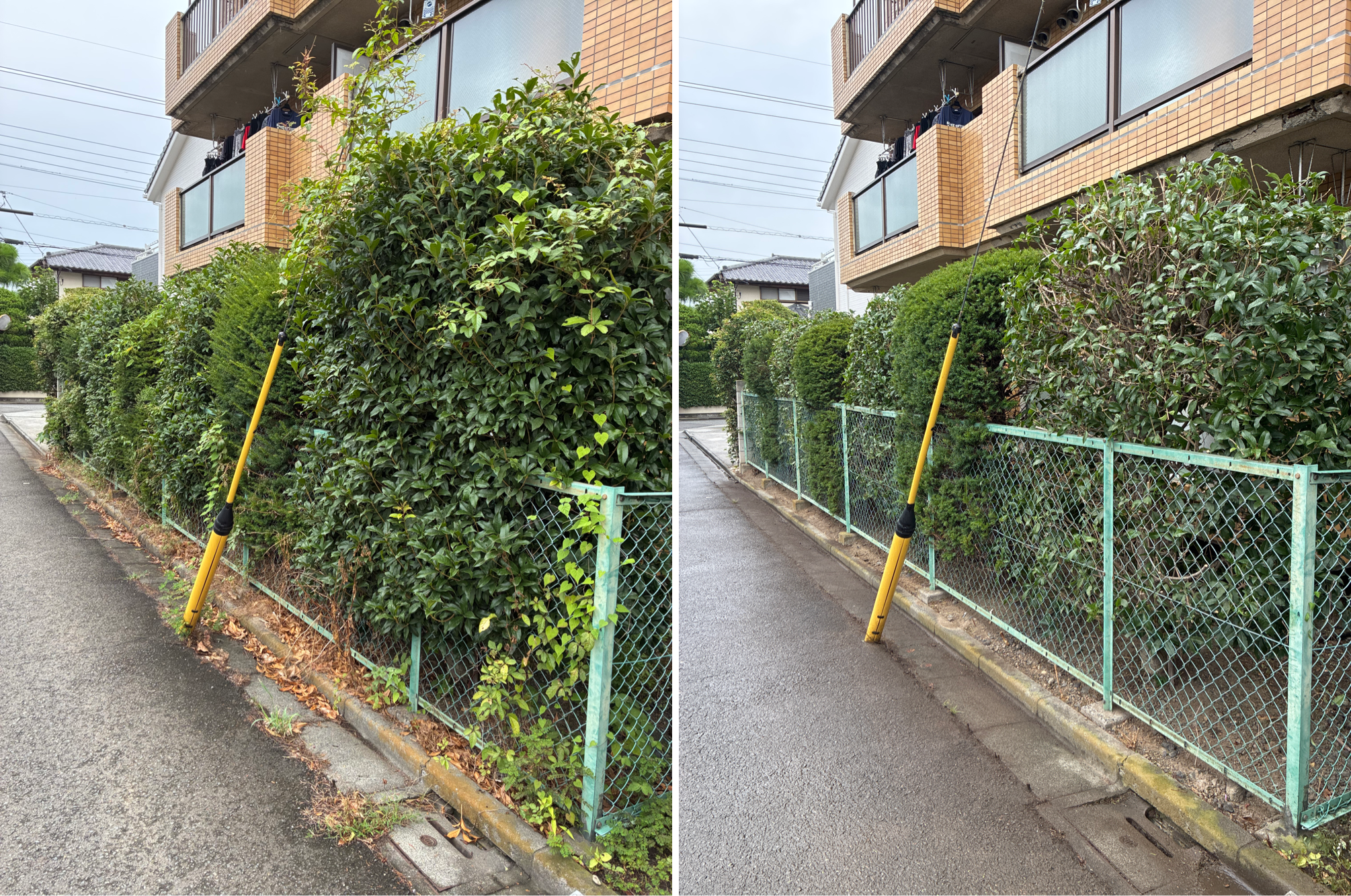 マンション植栽管理　長尾アートガーデン　埼玉県川越市