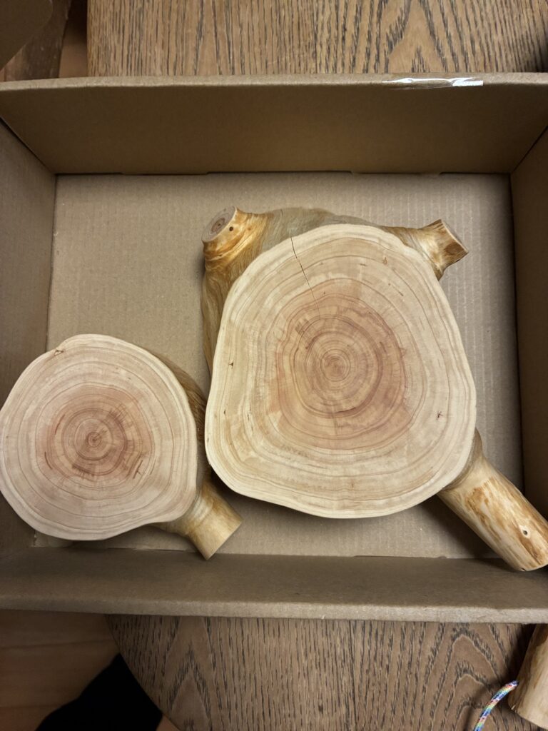 ウッドストーリー　伐採した樹木を室内で安心して保管できる製品に仕立てるサービス