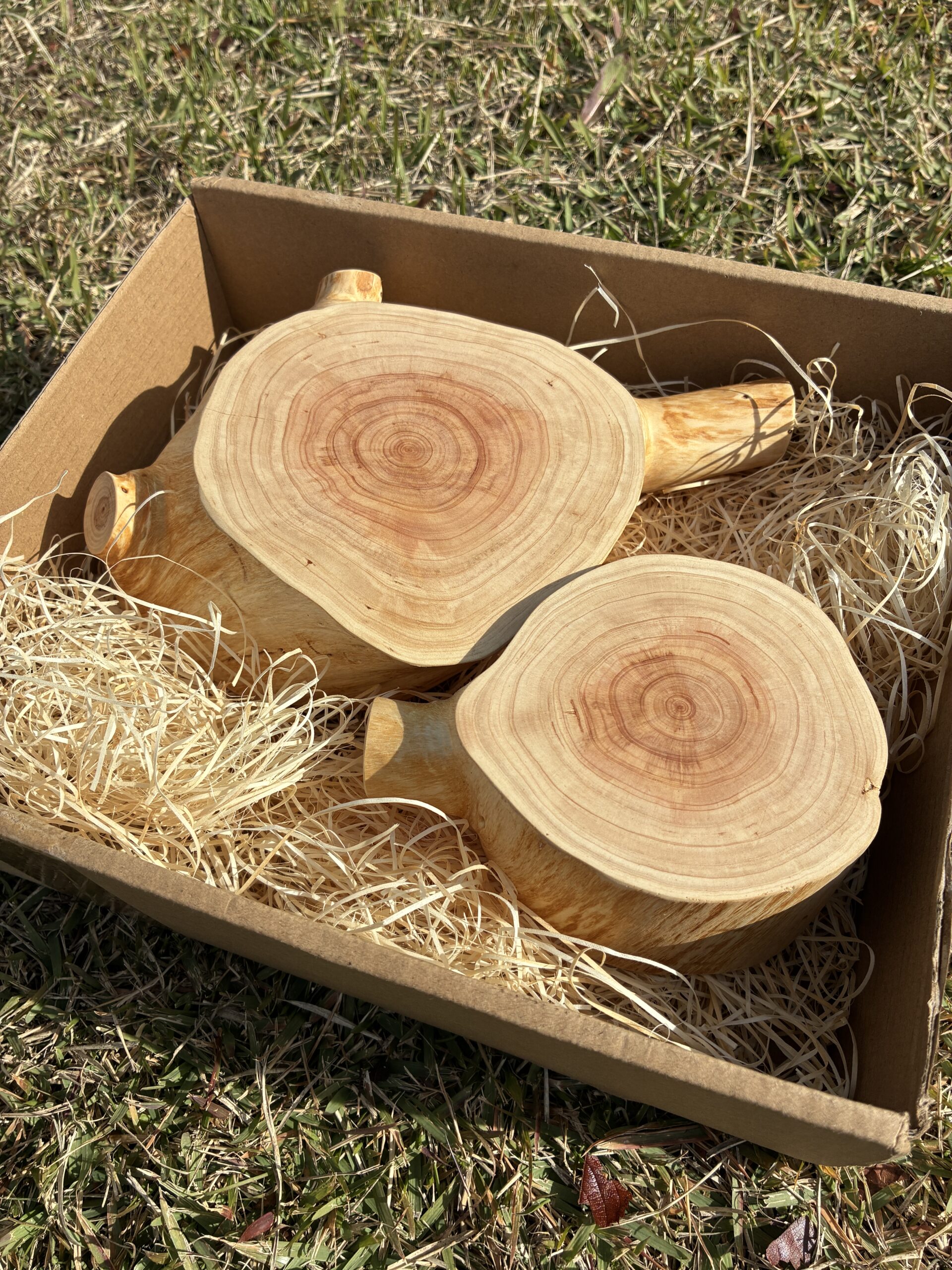 ウッドストーリー　大切な記念樹をやむおえず伐採しなければならない方へ　伐採した樹木で作る小さいけれども大切な思い出の詰まったあなただけの木工製品