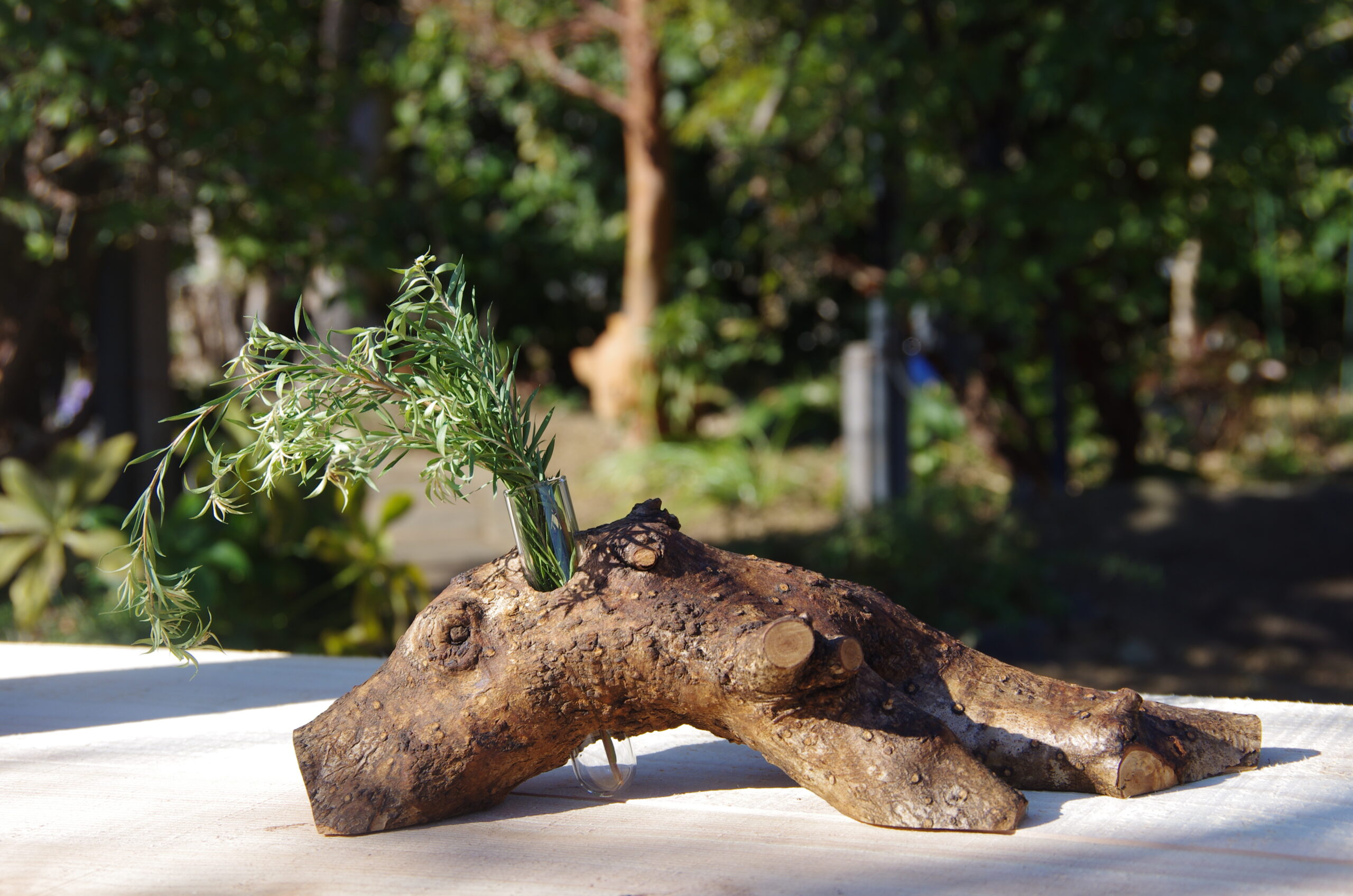 ウッドストーリー、店の守り神　柊から作った木工製品