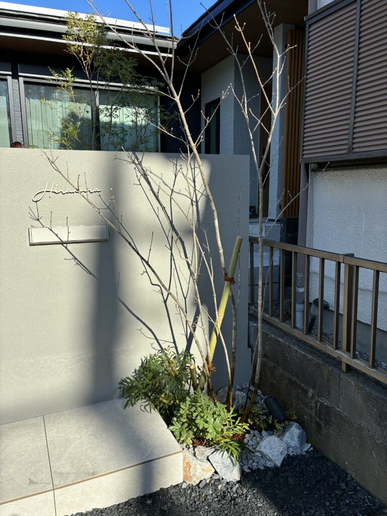 アオダモ門袖植栽
