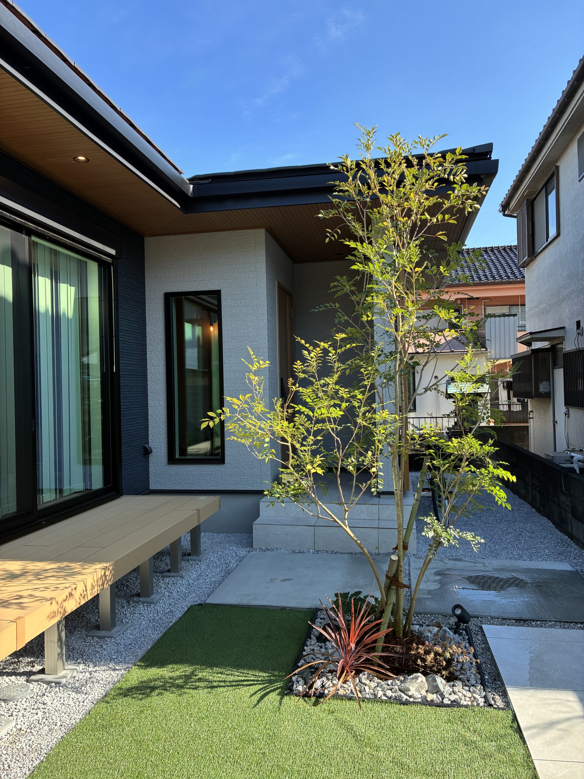 シマトネリコ新規植栽