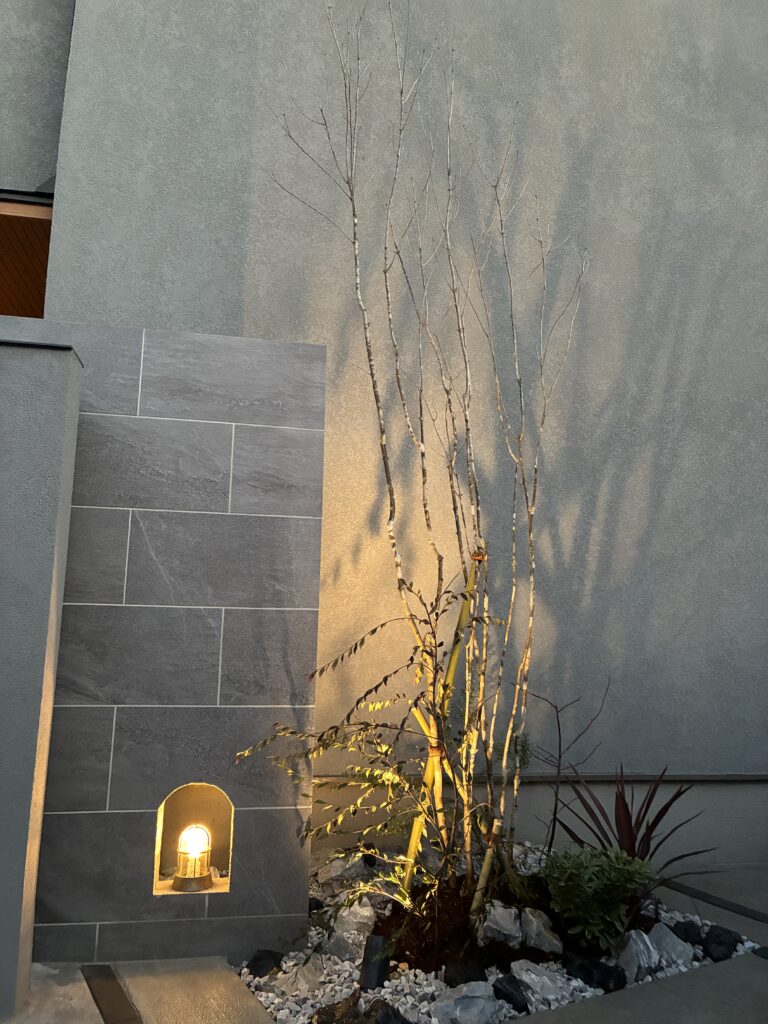 アオダモ　植栽　ライトアップ