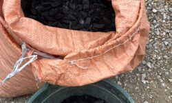 いすみ竹すみ研究会　の竹すみ