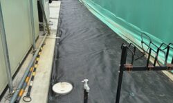 防草シート施工