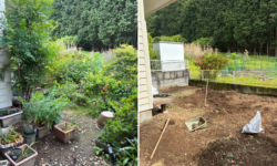 お庭じまい作業