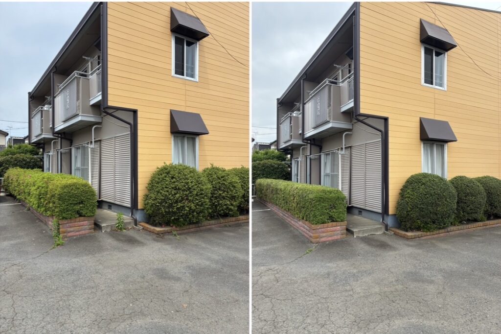 集合住宅植栽管理