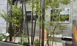 新規植栽工事