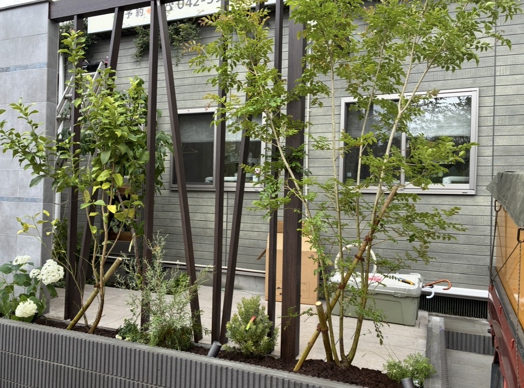 新規植栽工事