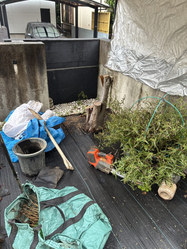 雨の中テントを立てての抜根作業